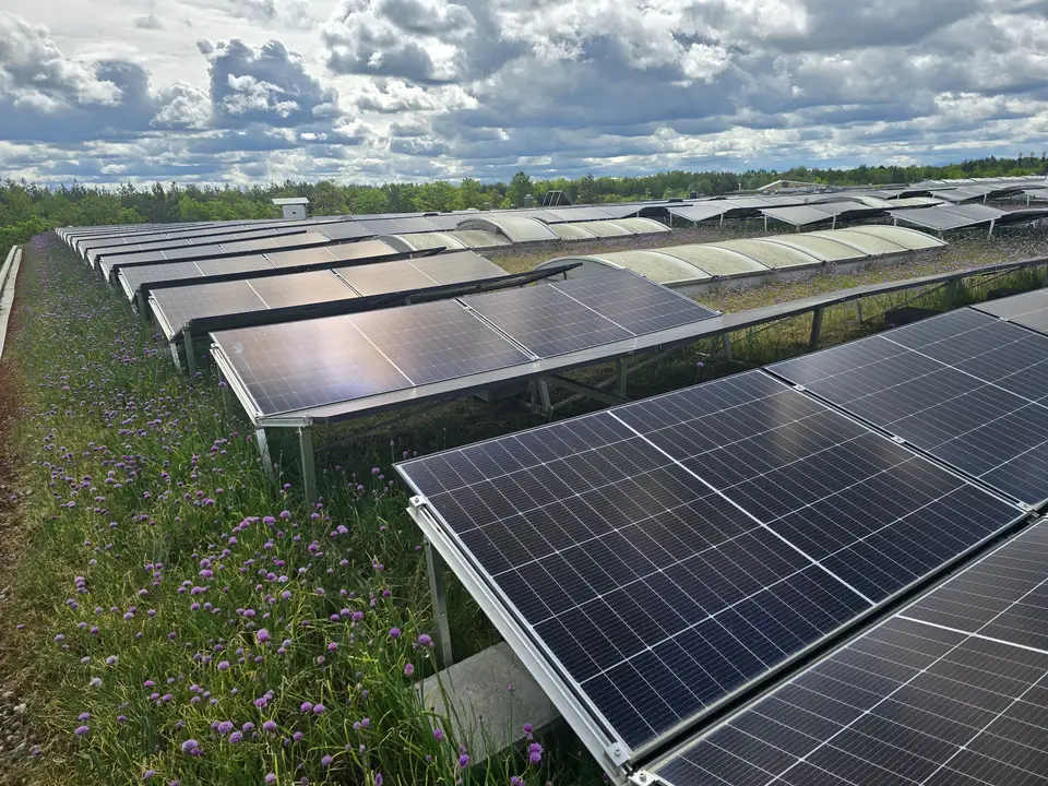Von E-PN realisierte pv und biodiversität
